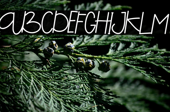 Saeela Nuary Demo Example 3