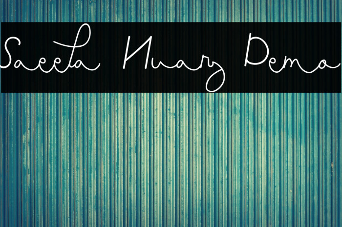 Saeela Nuary Demo Example 1