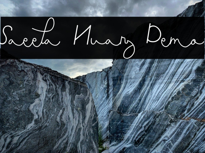 Saeela Nuary Demo Example 2