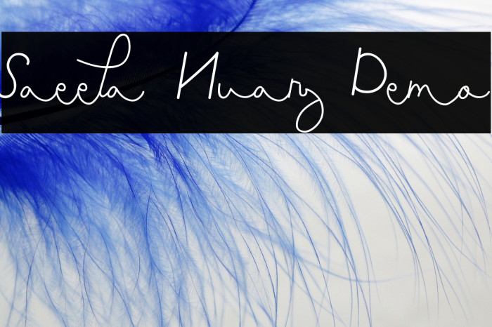 Saeela Nuary Demo Example 3