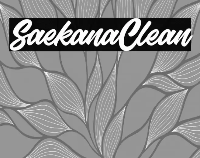SaekanaClean Font examples