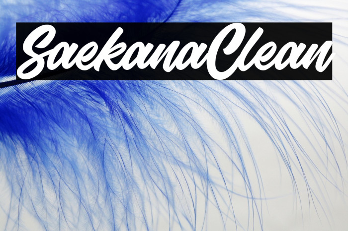 SaekanaClean Example 2