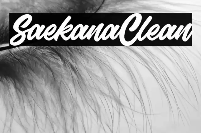 SaekanaClean Font examples