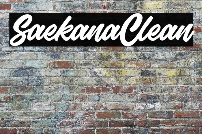 SaekanaClean Example 3