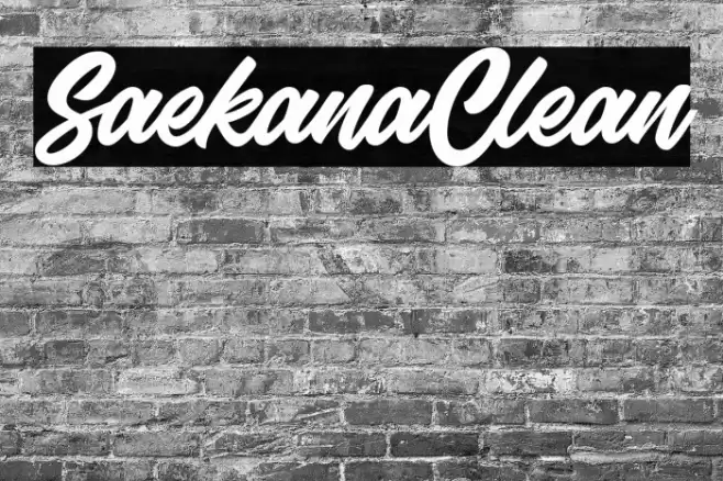 SaekanaClean Font examples