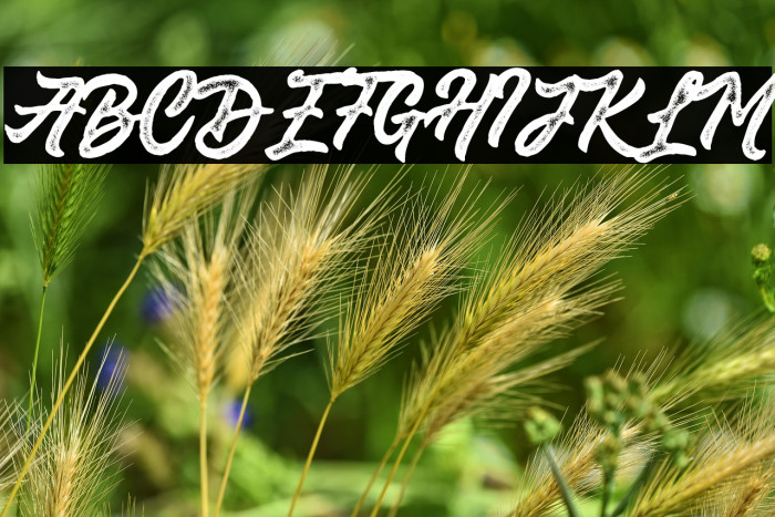 Saekanarough Example 1