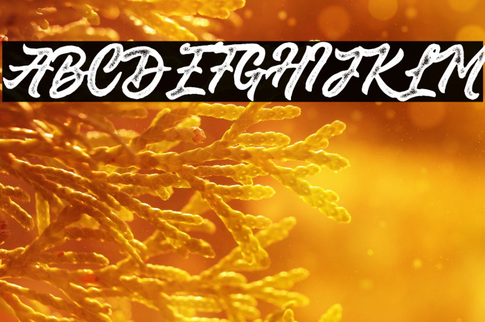 Saekanarough Example 2