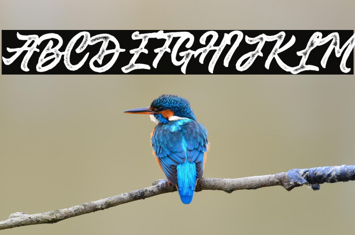 Saekanarough Example 3