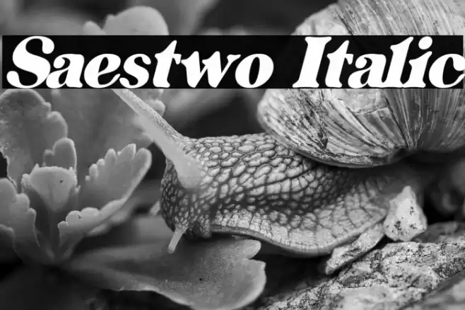 Saestwo Italic Font examples
