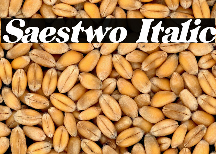 Saestwo Italic Example 3