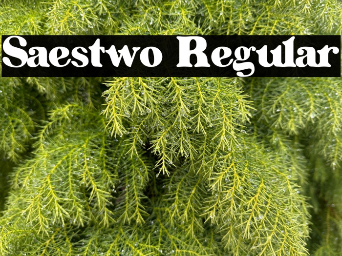 Saestwo Regular Example 1
