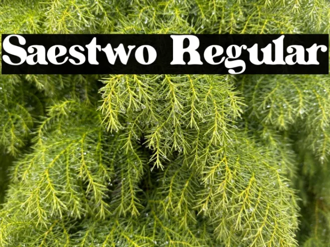 Saestwo Regular Example 1