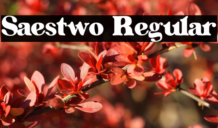 Saestwo Regular Example 2