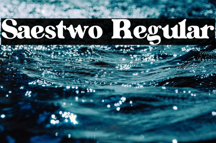 Saestwo Regular Example 3