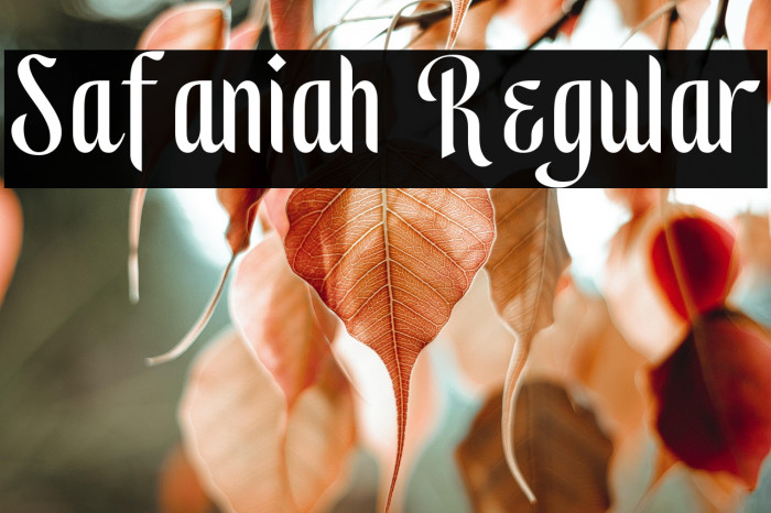 Safaniah Regular Example 3