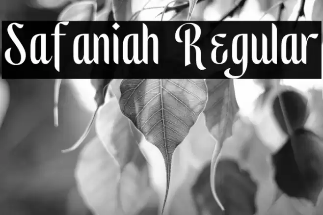 Safaniah Regular Caratteri examples