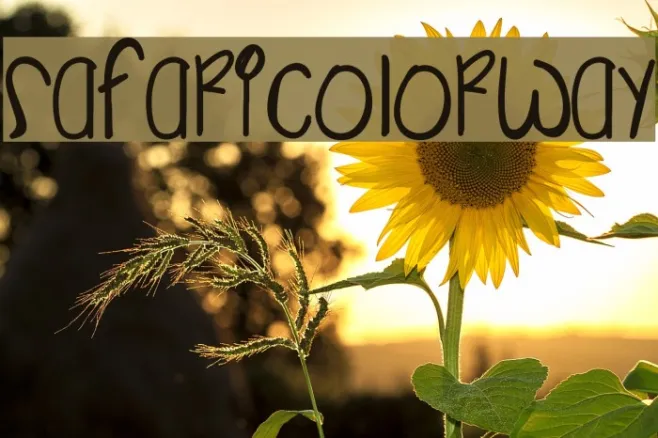 SafariColorway Example 1