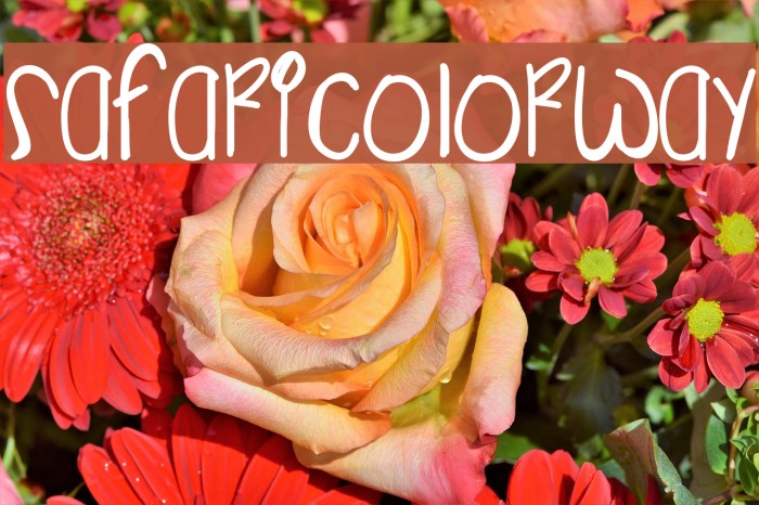 SafariColorway Font examples