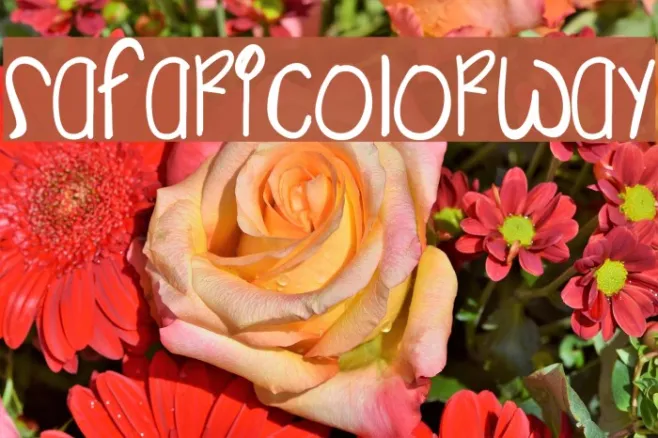 SafariColorway Example 2