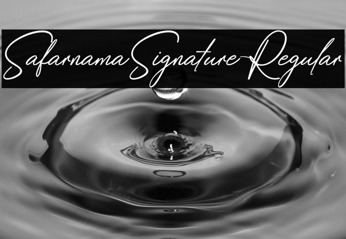 SafarnamaSignature-Regular Example 2