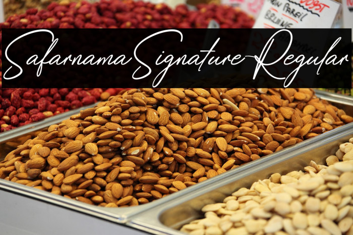 SafarnamaSignature-Regular Example 3
