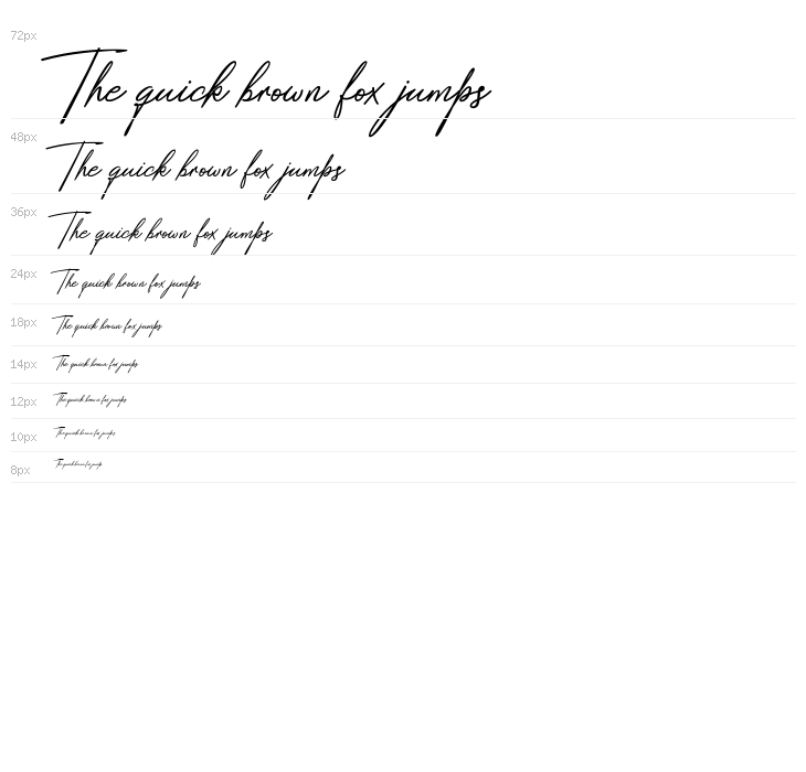 SafarnamaSignature-Regular Waterfall