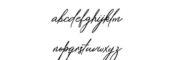 SafarnamaSignature-Regular Font LOWERCASE