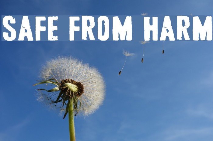 Safe from harm Font examples