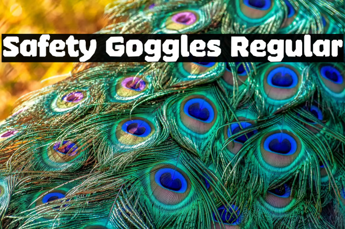 Safety Goggles Regular Example 1