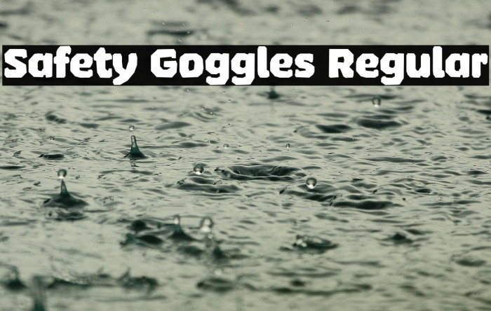 Safety Goggles Regular Example 2