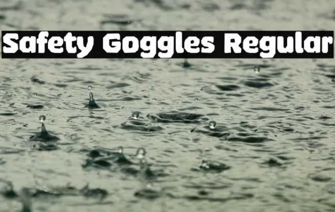 Safety Goggles Regular Example 2