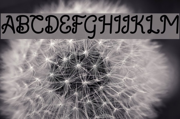 Saffa Script Monoline Font examples