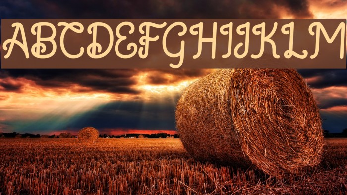 Saffa Script Monoline Font examples