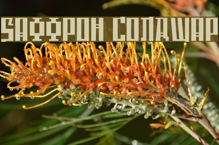 Saffron ColdWar Font examples