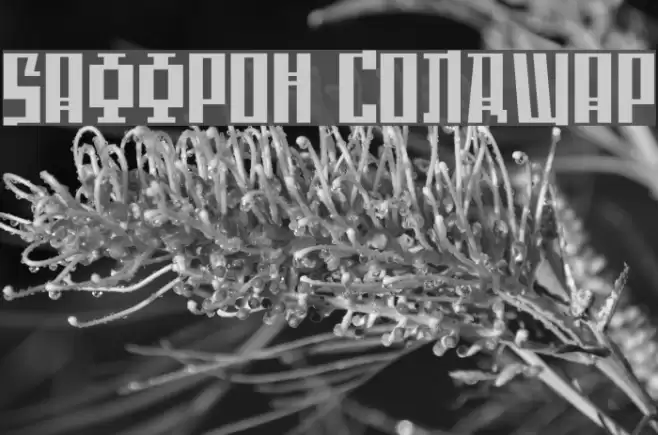 Saffron ColdWar Polices examples