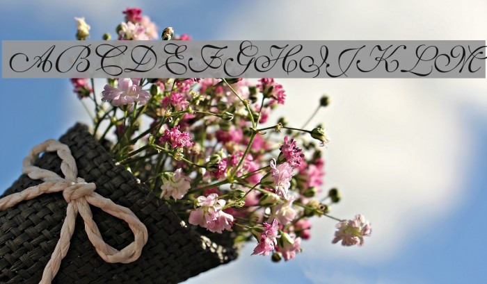 SaffronToo Font examples
