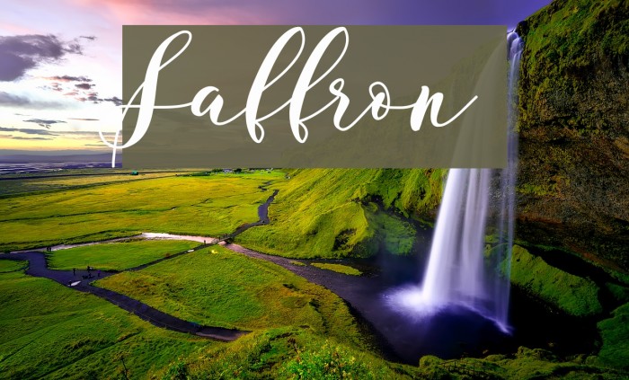 Saffron Font examples