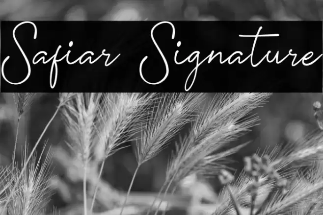 Safiar Signature Font examples
