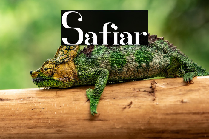 Safiar Example 2