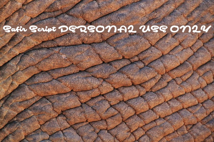 Safir Script PERSONAL USE ONLY Font examples