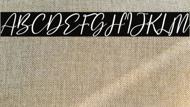 Safira Brown Italic Example 1