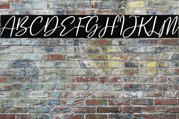 Safira Brown Italic Example 3