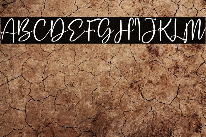 Safira Brown Example 3