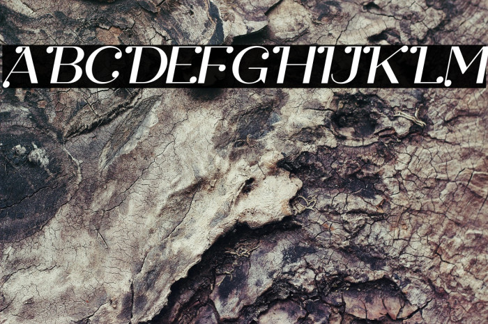 Safira Italic Example 1