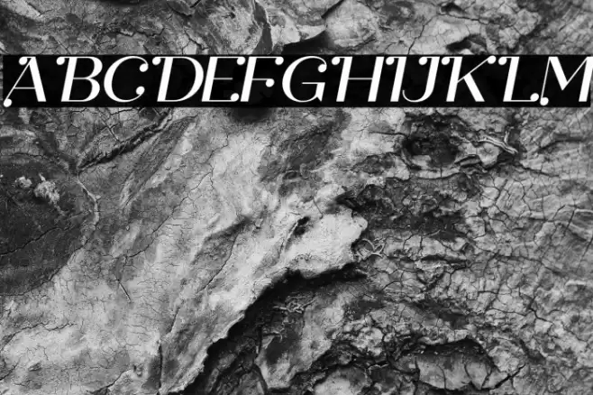 Safira Italic Font examples