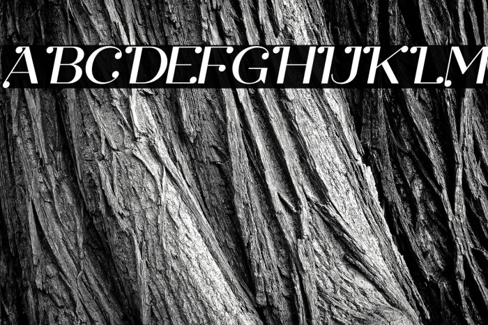 Safira Italic Example 2