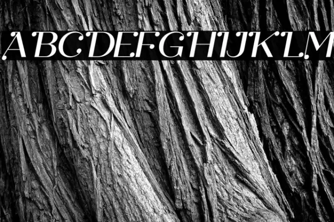 Safira Italic Font examples