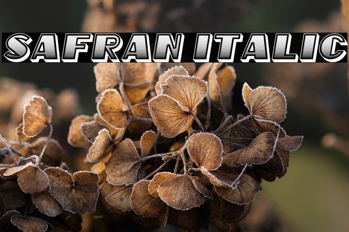 Safran Italic Example 3