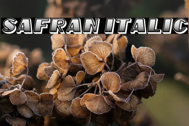 Safran Italic Example 3
