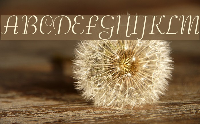 Safrole Font examples